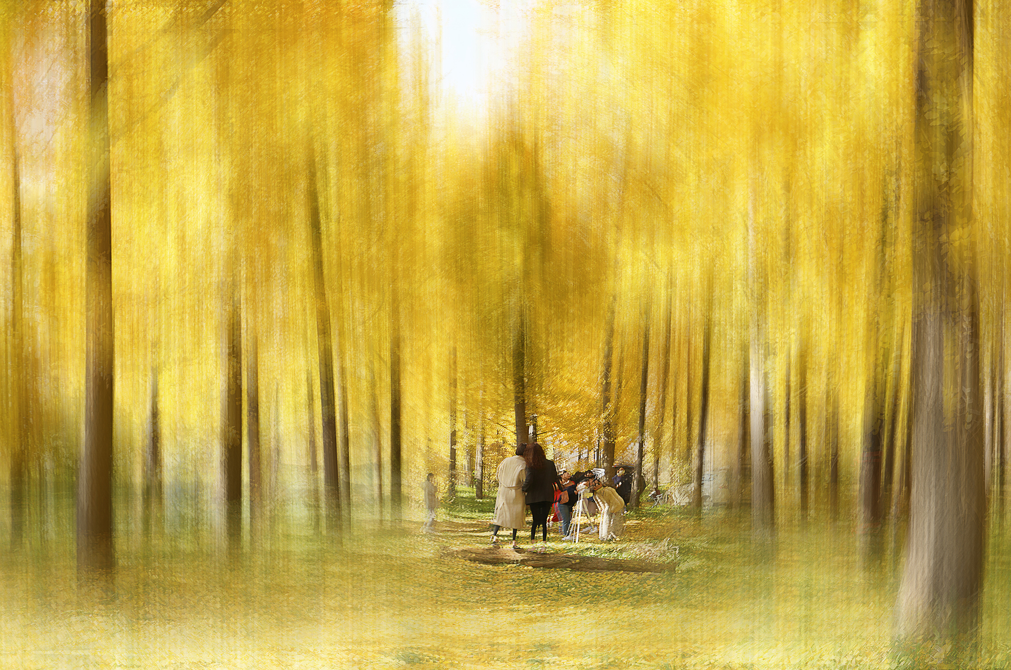 고령 은행나무 틸딩샷 a.jpg