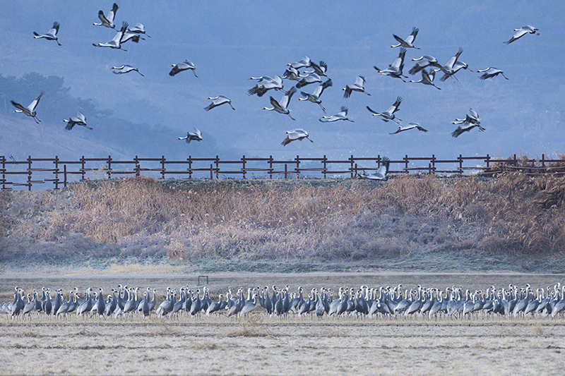 DSC_2495-향상됨ㅡ클라.jpg