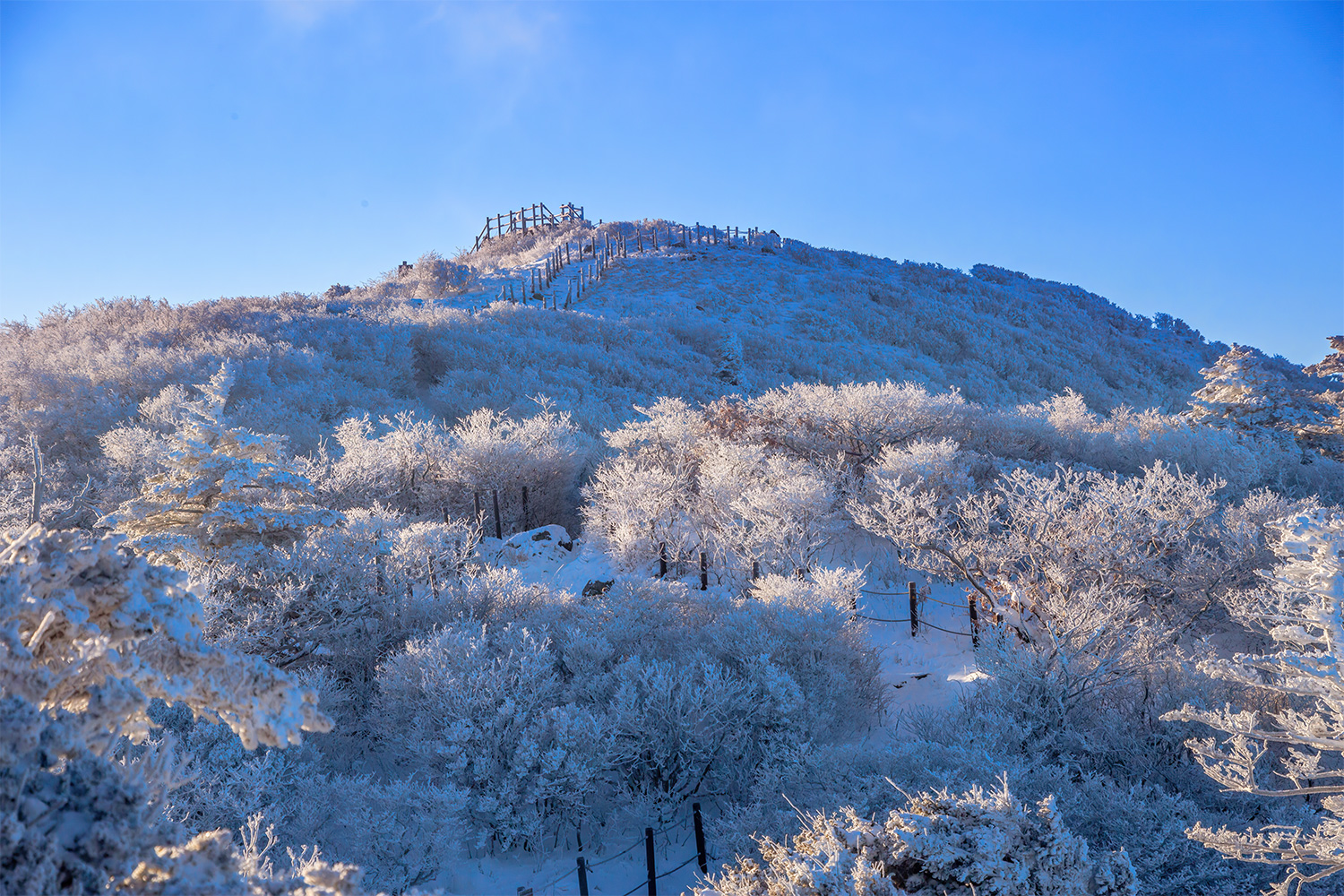 221220-덕유산-C-023-HDR-1500.jpg