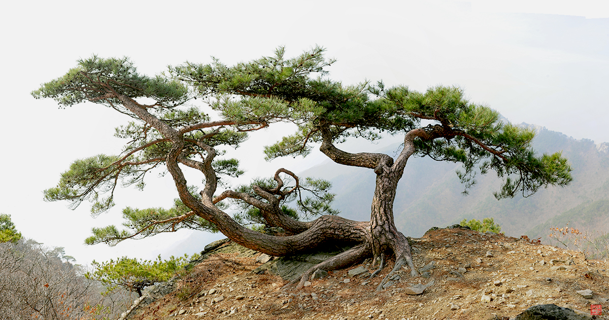 제목 없음_파노라마(게시).jpg