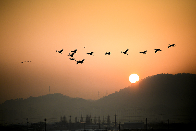 DSC_4123-향상됨ㅡ클라.jpg