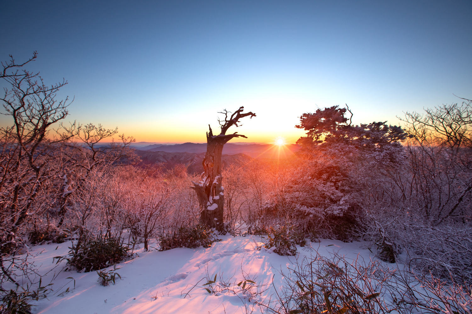 포토1500-2 4R7A7137.jpg