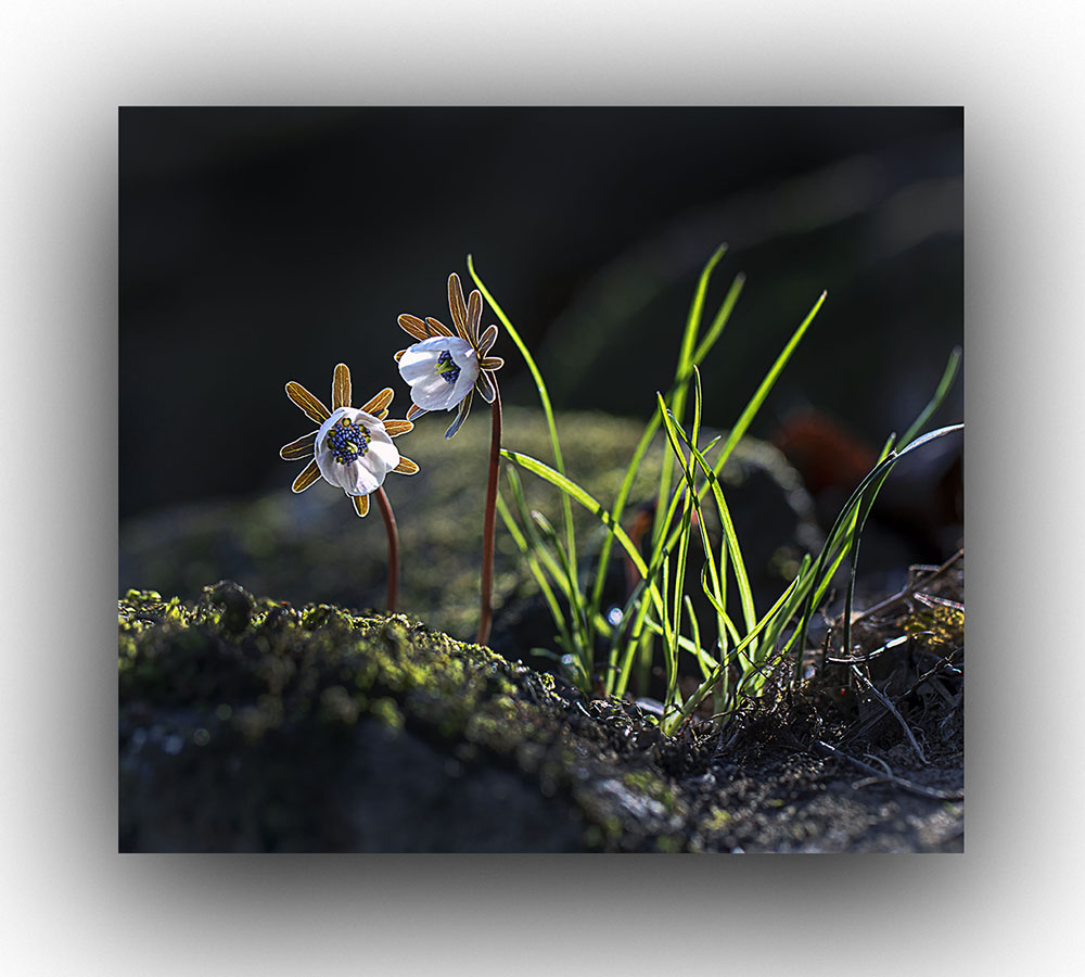 6V4A0415 복사-1.jpg