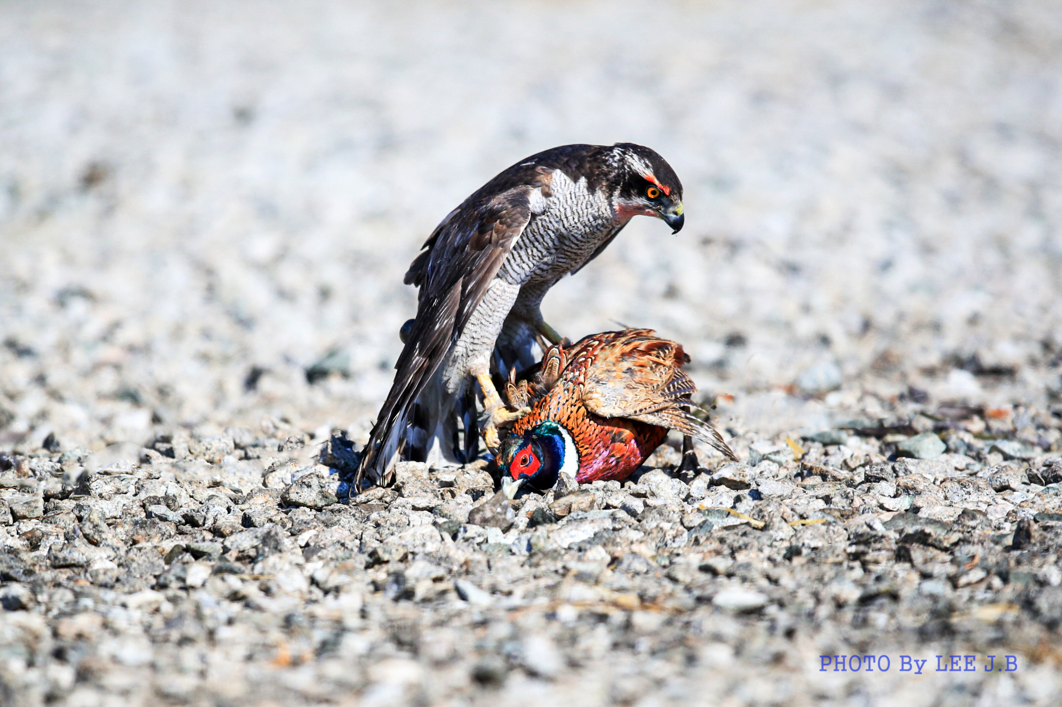 20230226-진해 (88).JPG