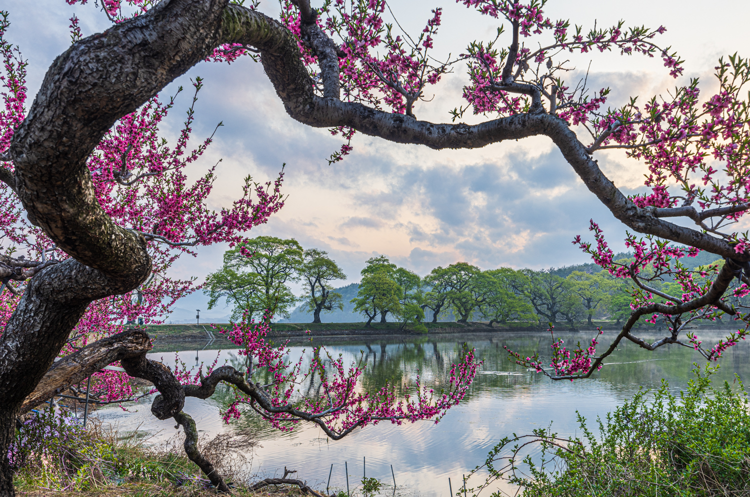 제목 없음-2269.jpg