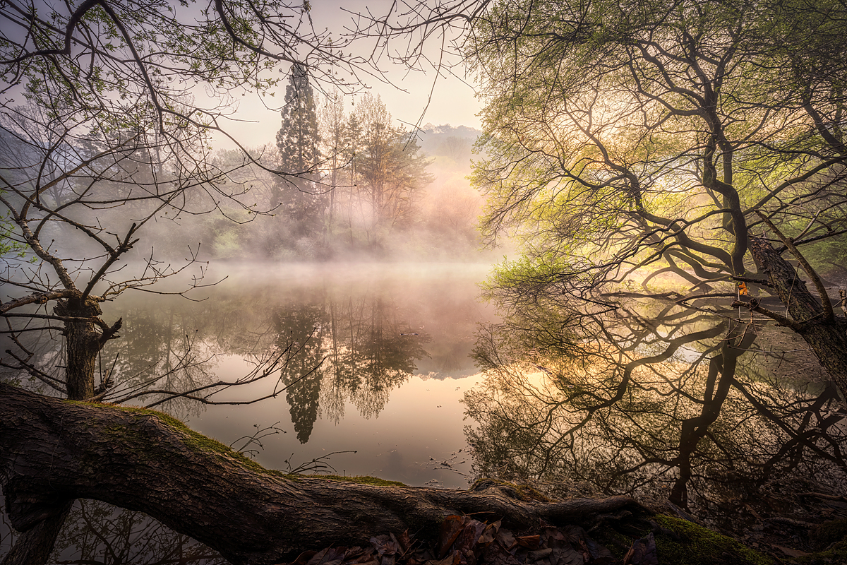 _JSA2028-HDR 복사.jpg