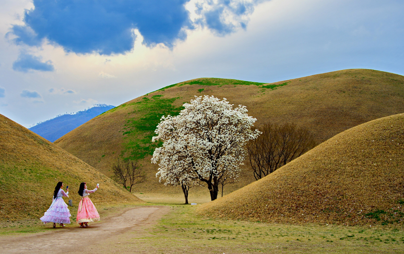 봄이 가기전에.jpg