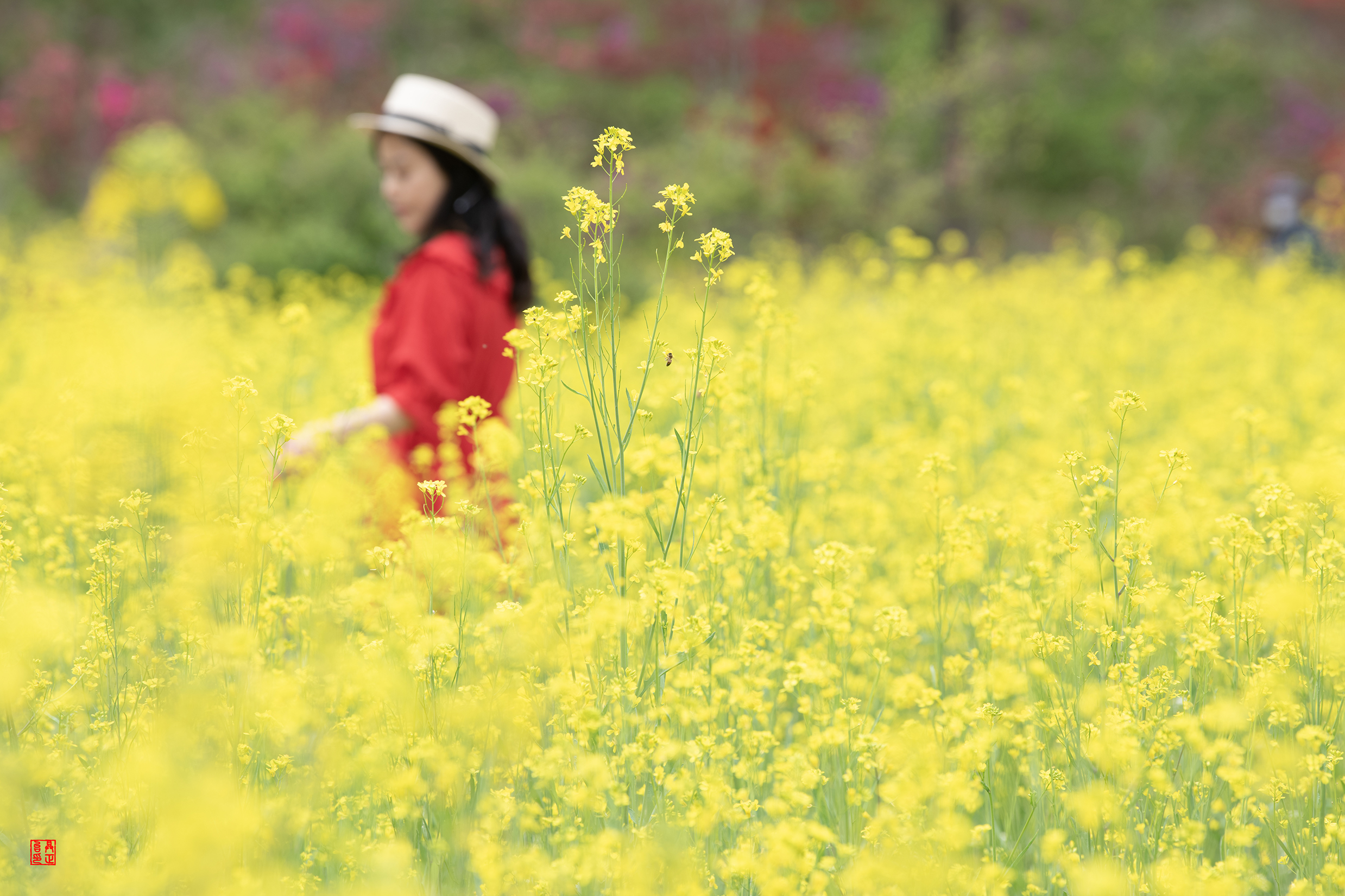 유체꽃 복사본.jpg