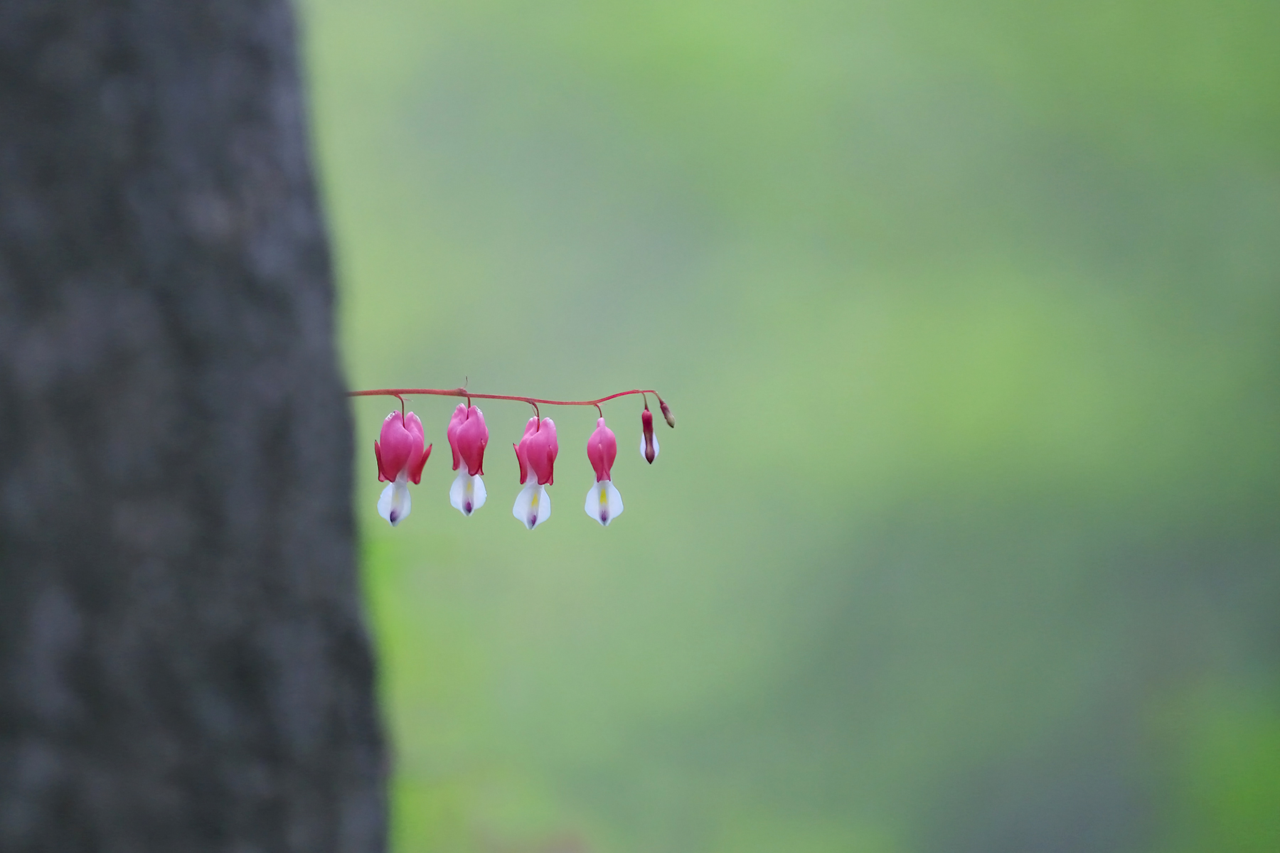 IMG_8265 복사 2.jpg