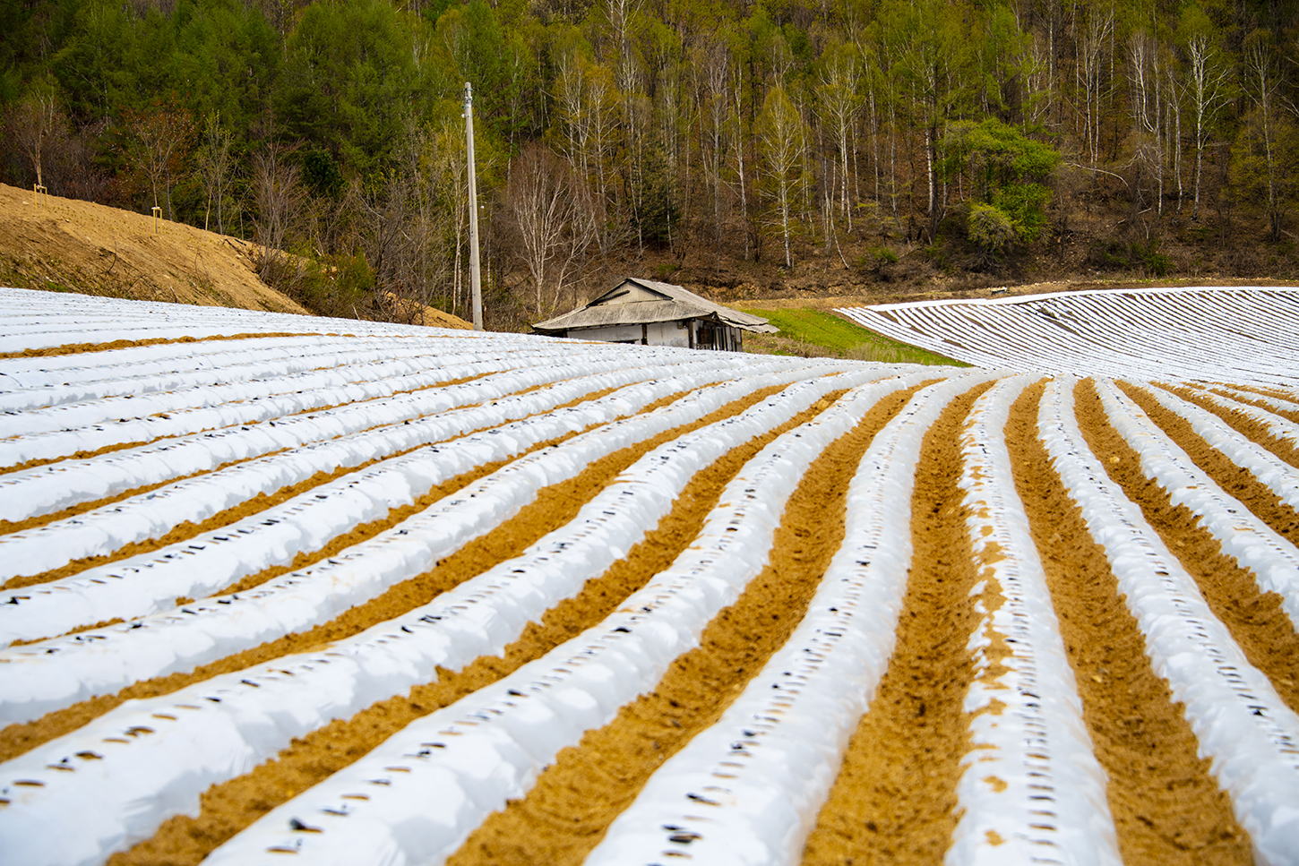 정지된 시간.jpg