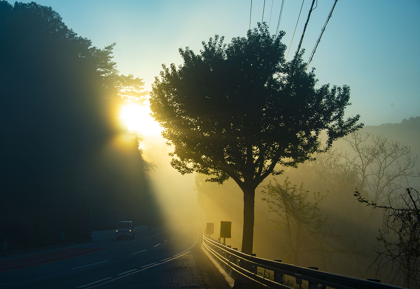 안갯길  운전조심 !.JPG