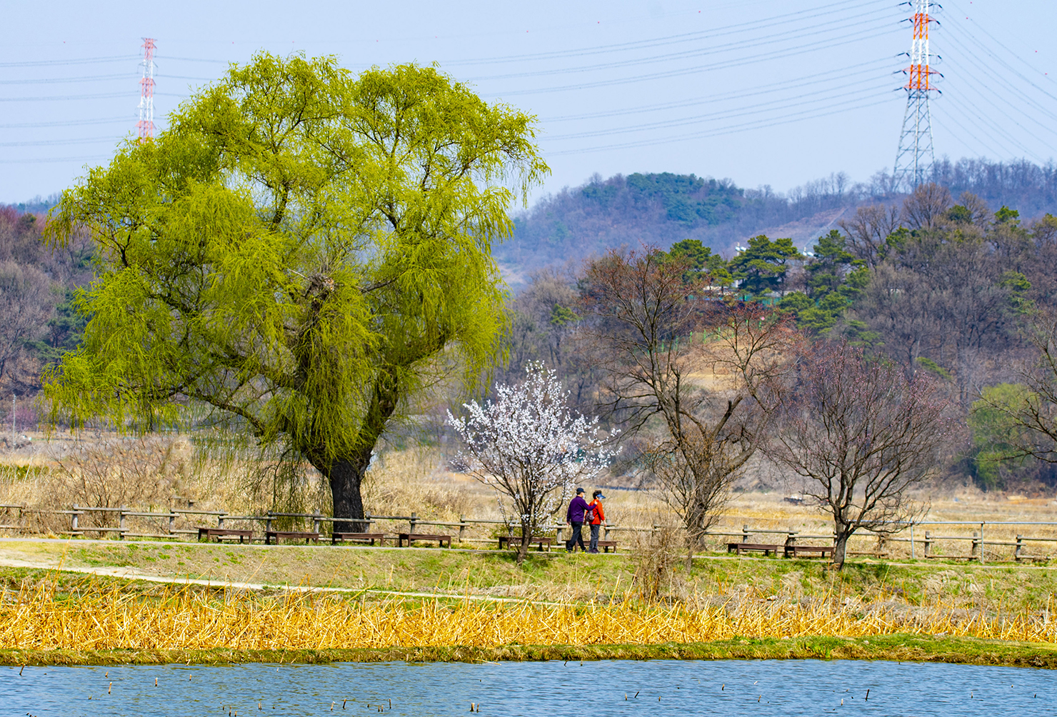 The Spring Road We walk Together.jpg