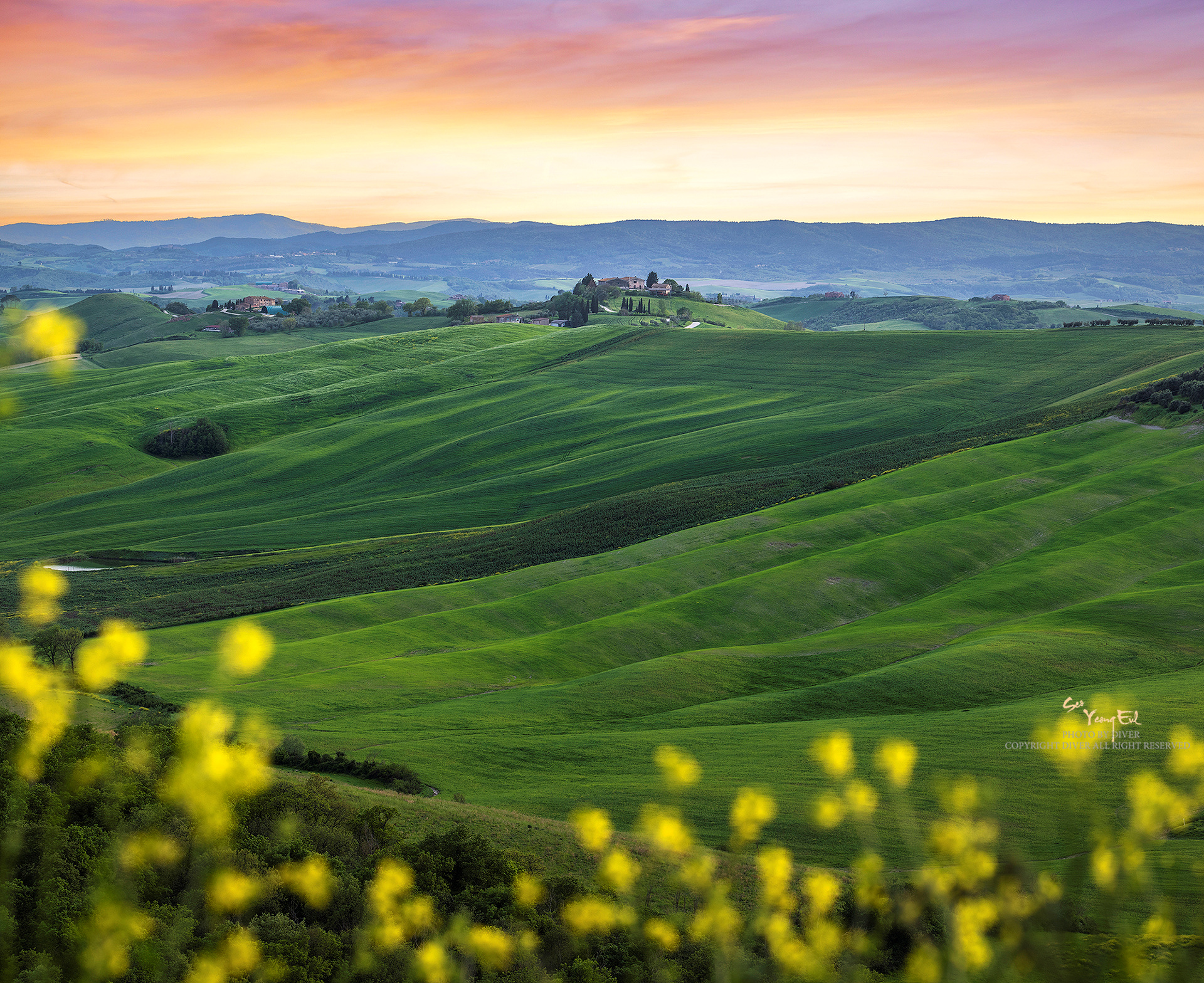 SYE_2008-Pano 복사-1.jpg