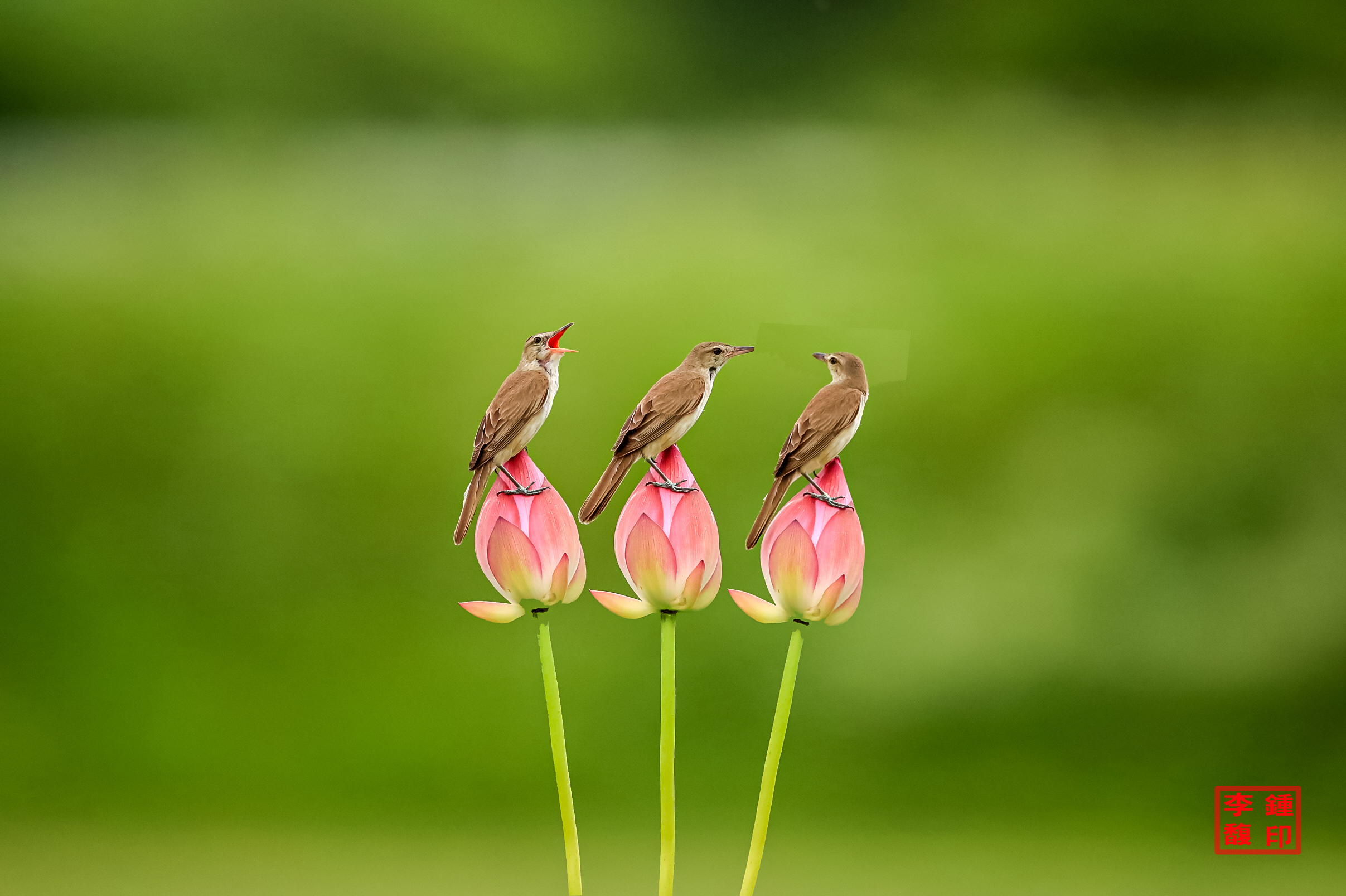 20230715-첨성대 (16).jpg