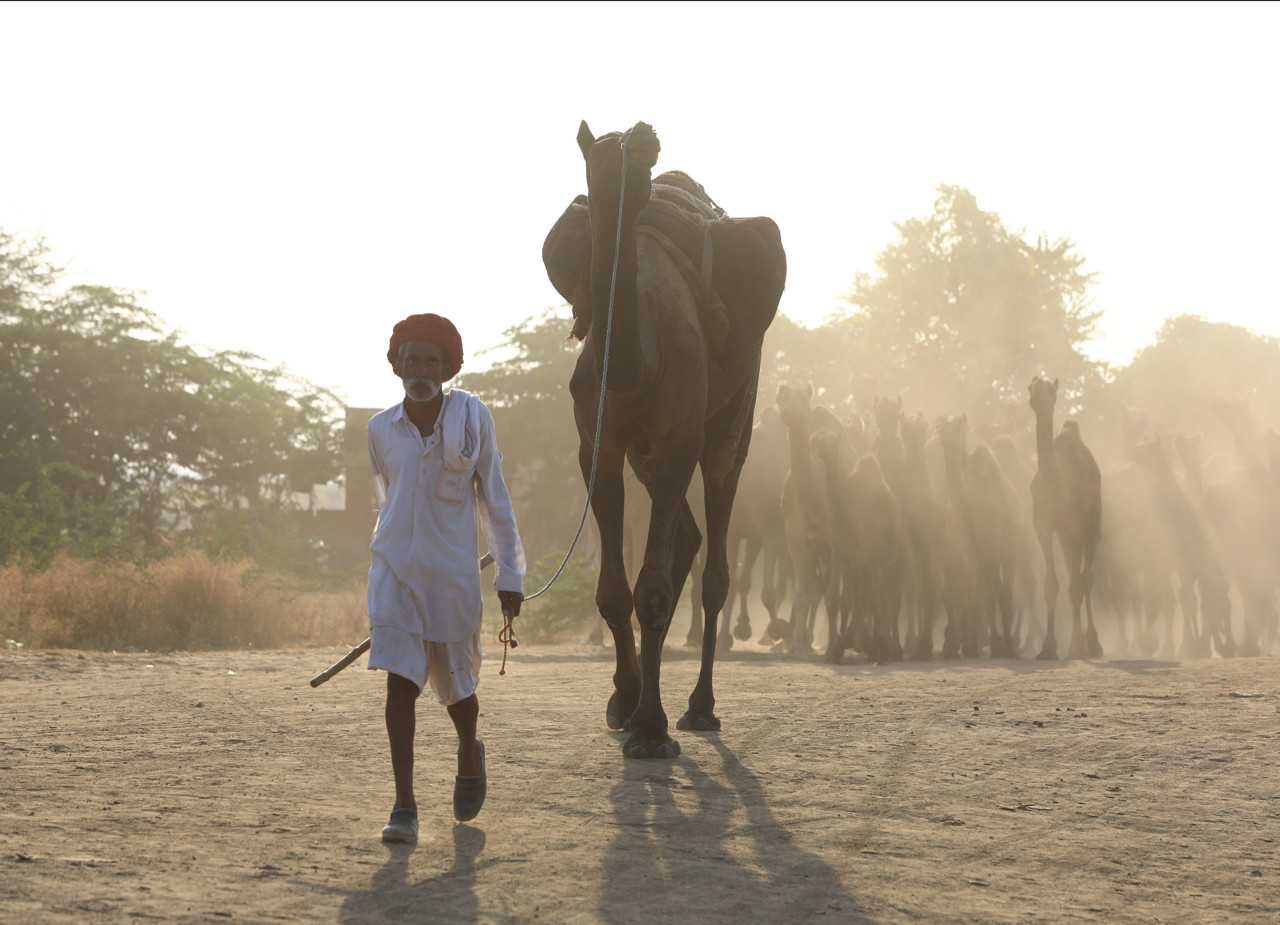 Cap 2023-08-29 20-18-31-094.jpg