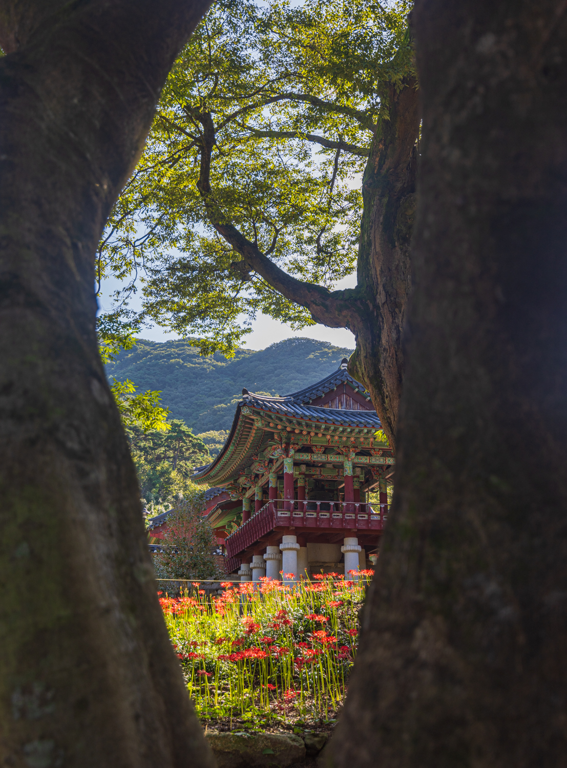 제목 없음-2050-1.jpg