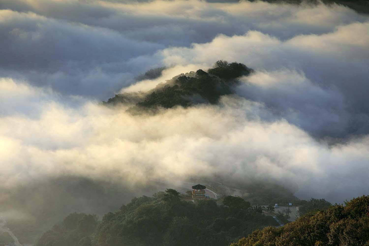 옥정호 구절초290(2).JPG