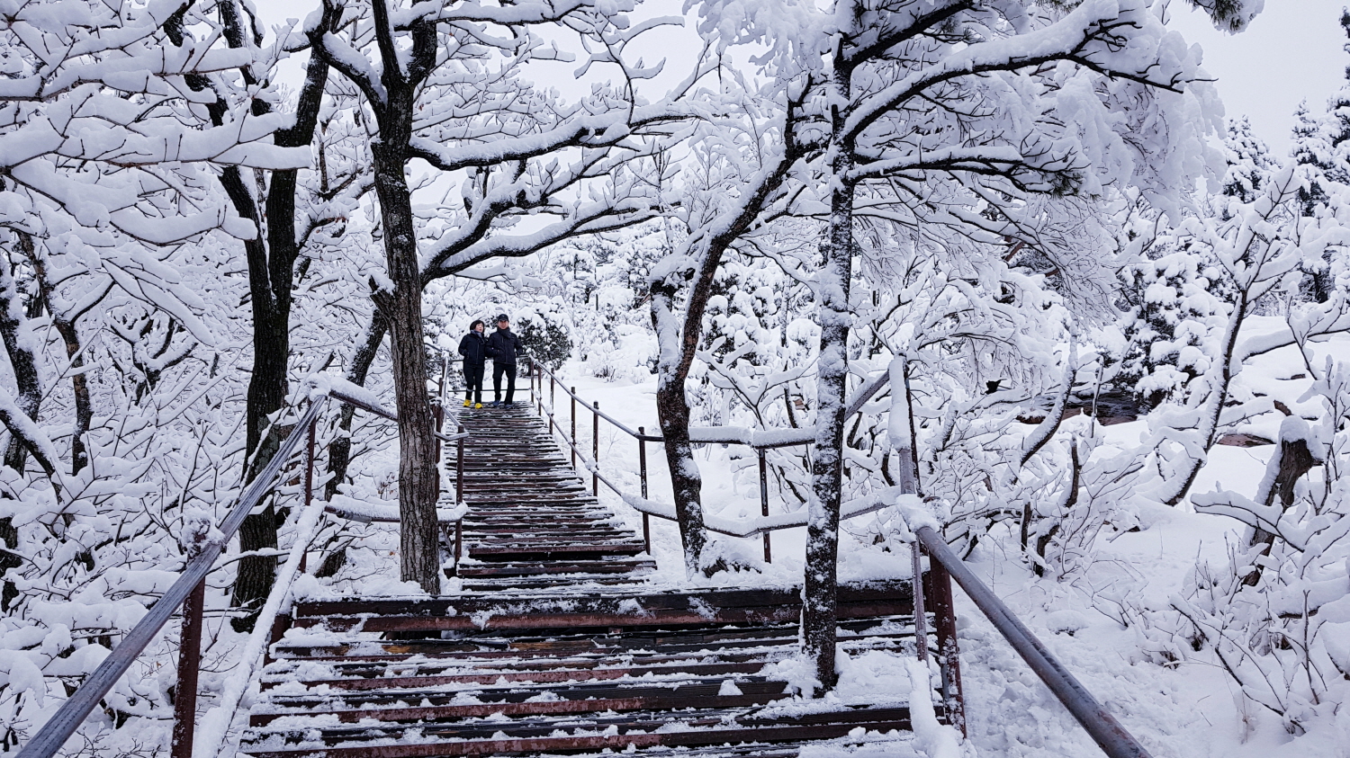 설경.jpg