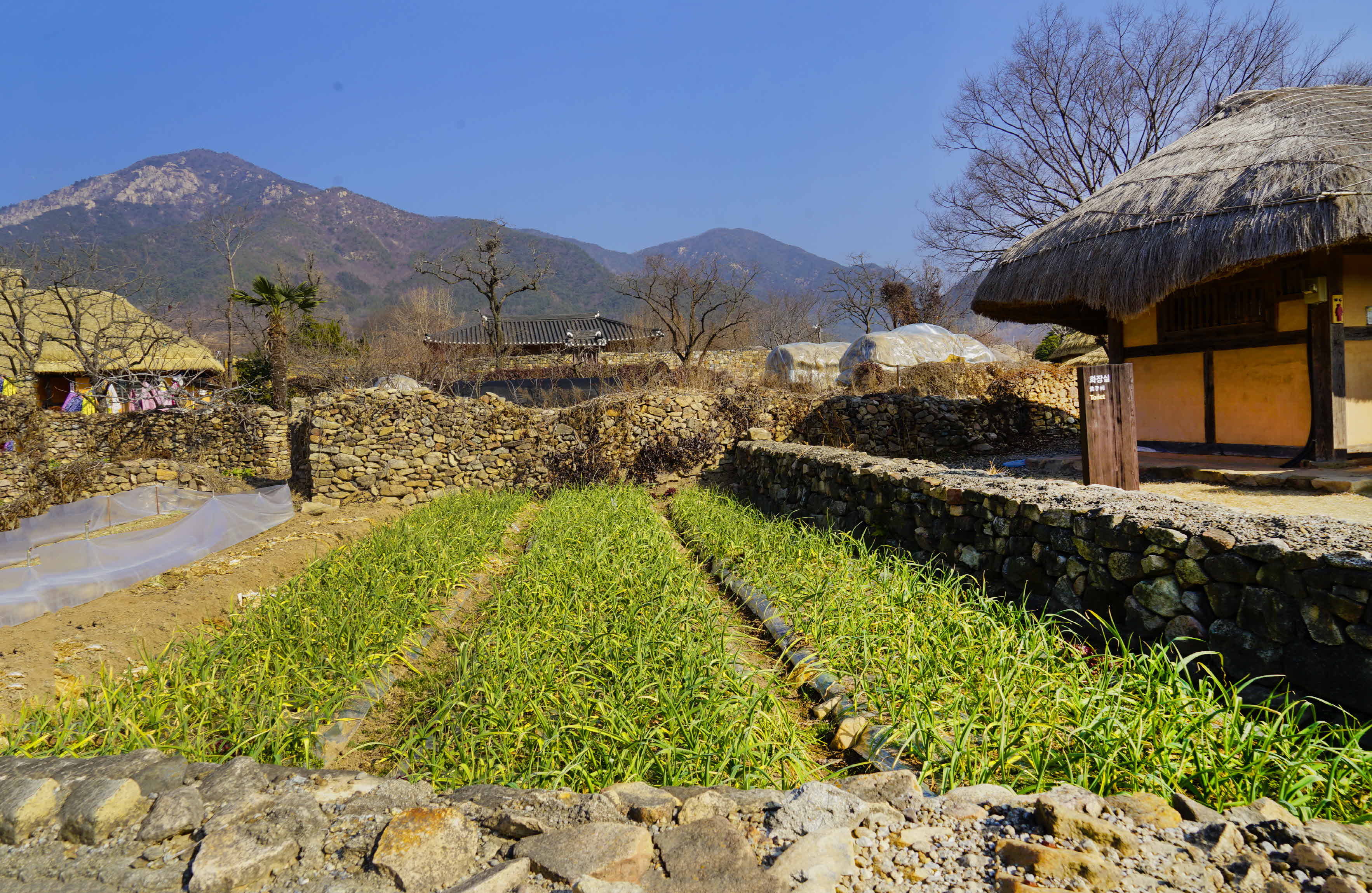 크기변환__DSC1268 사본.jpg