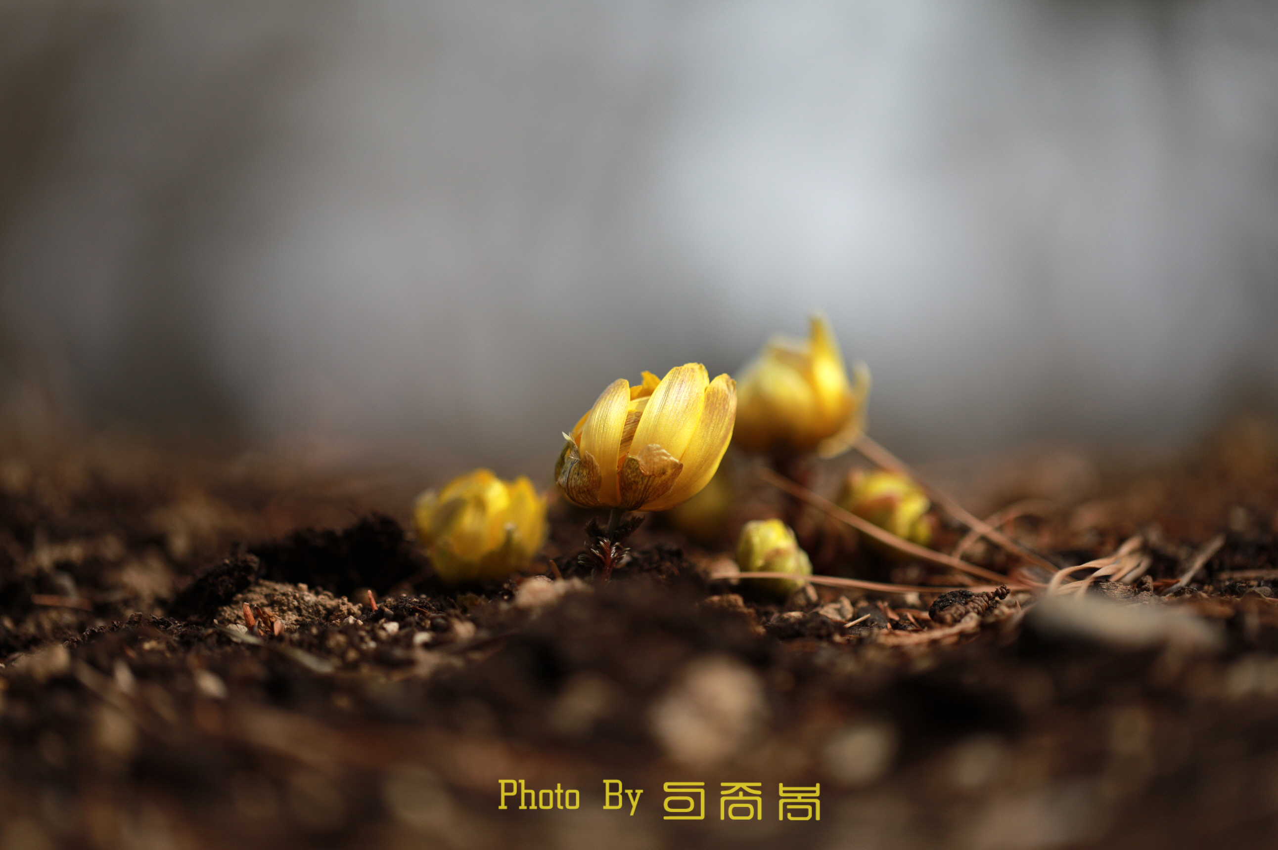 20220202-들꽃학습원 (2).JPG