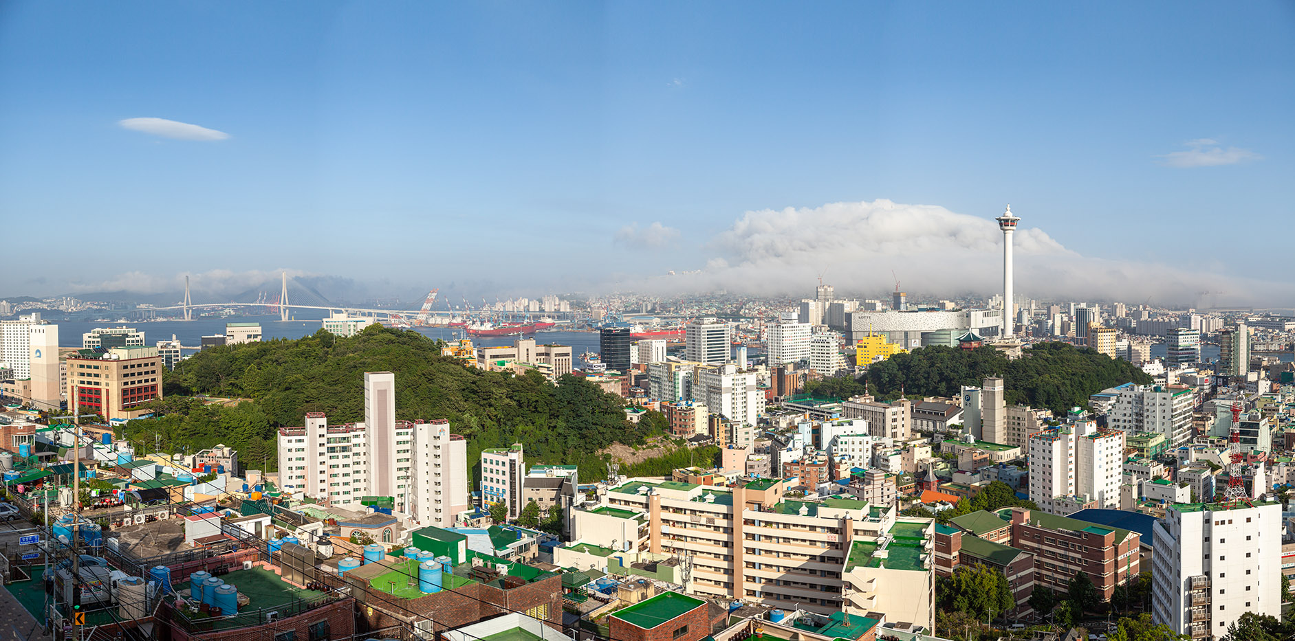 IMG_3509-22 Pano.jpg