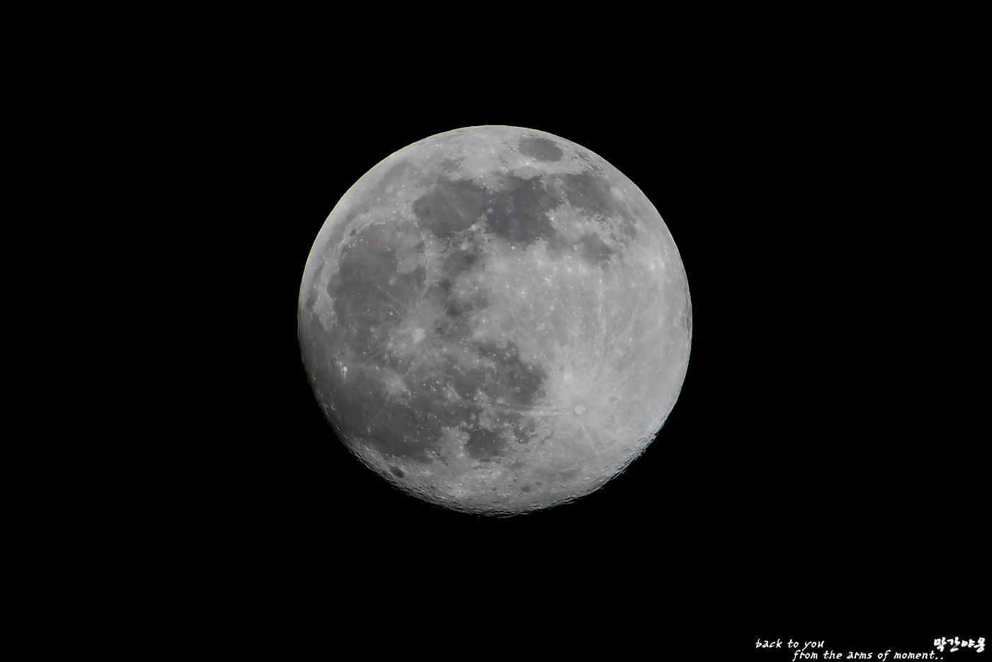 20220215 정월대보름_0006_view_cr-pw.jpg