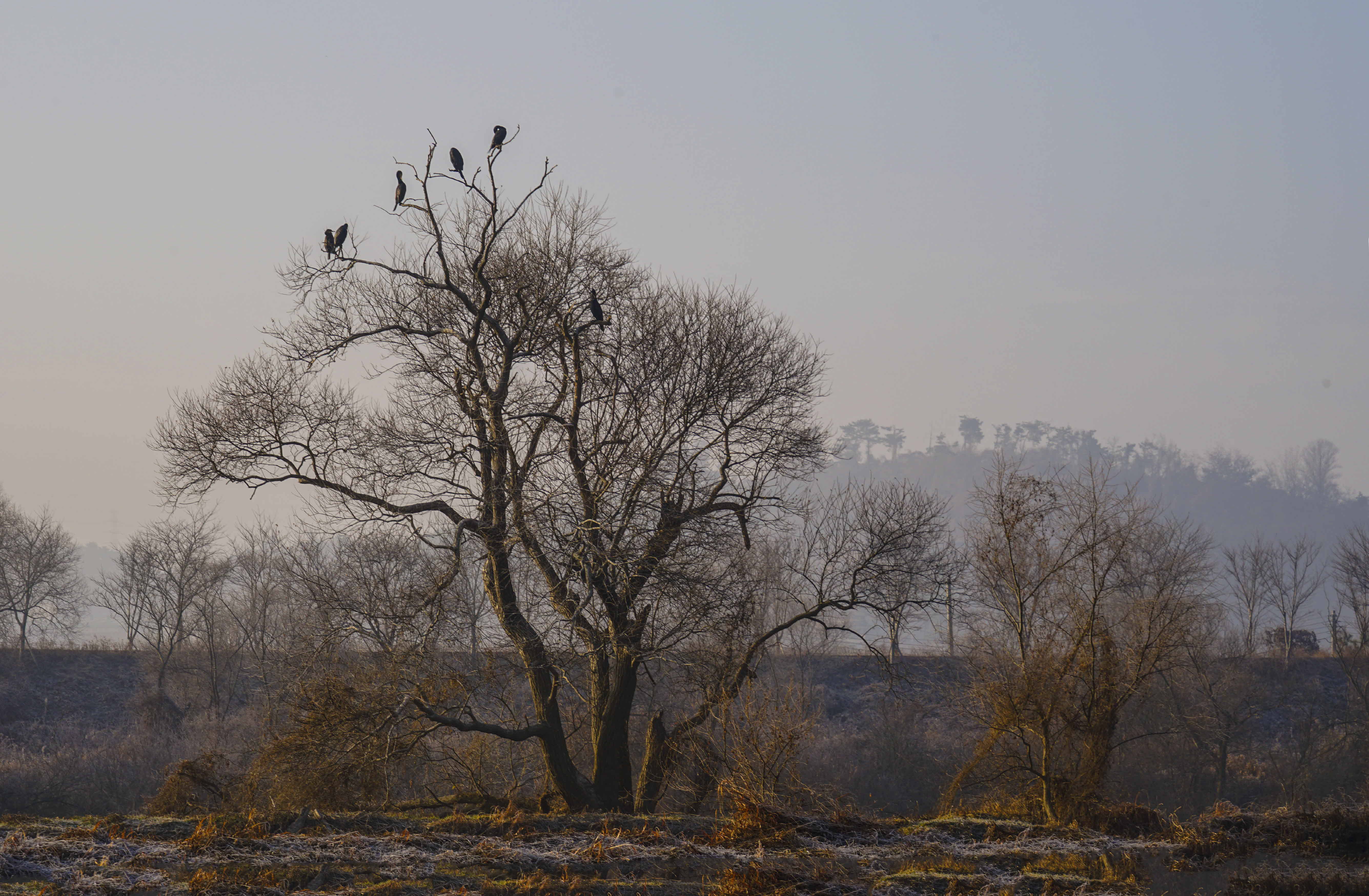 크기변환__DSC5354 사본.jpg