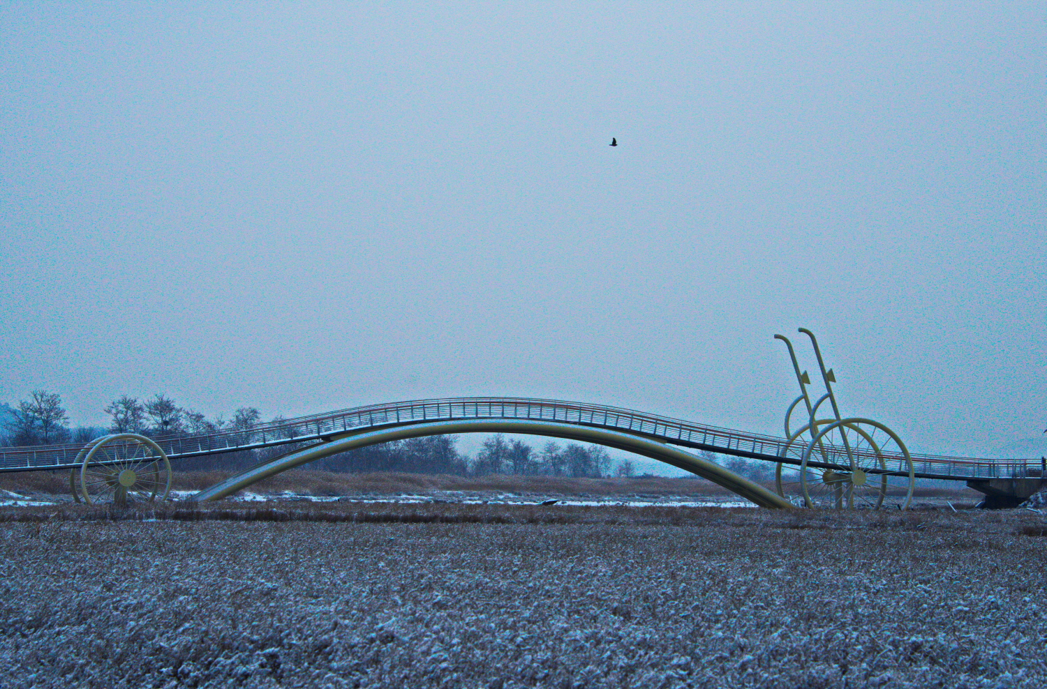 미생의 다리.jpg