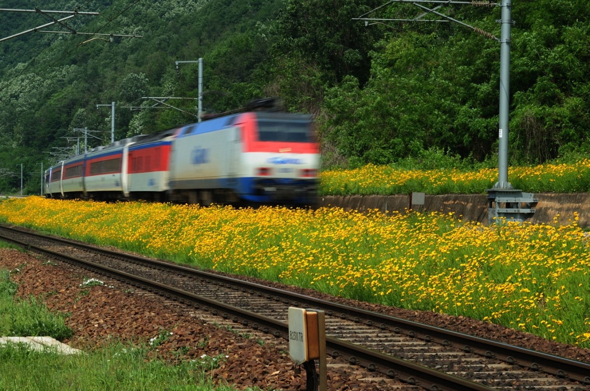 1200pixl 기차_003.JPG