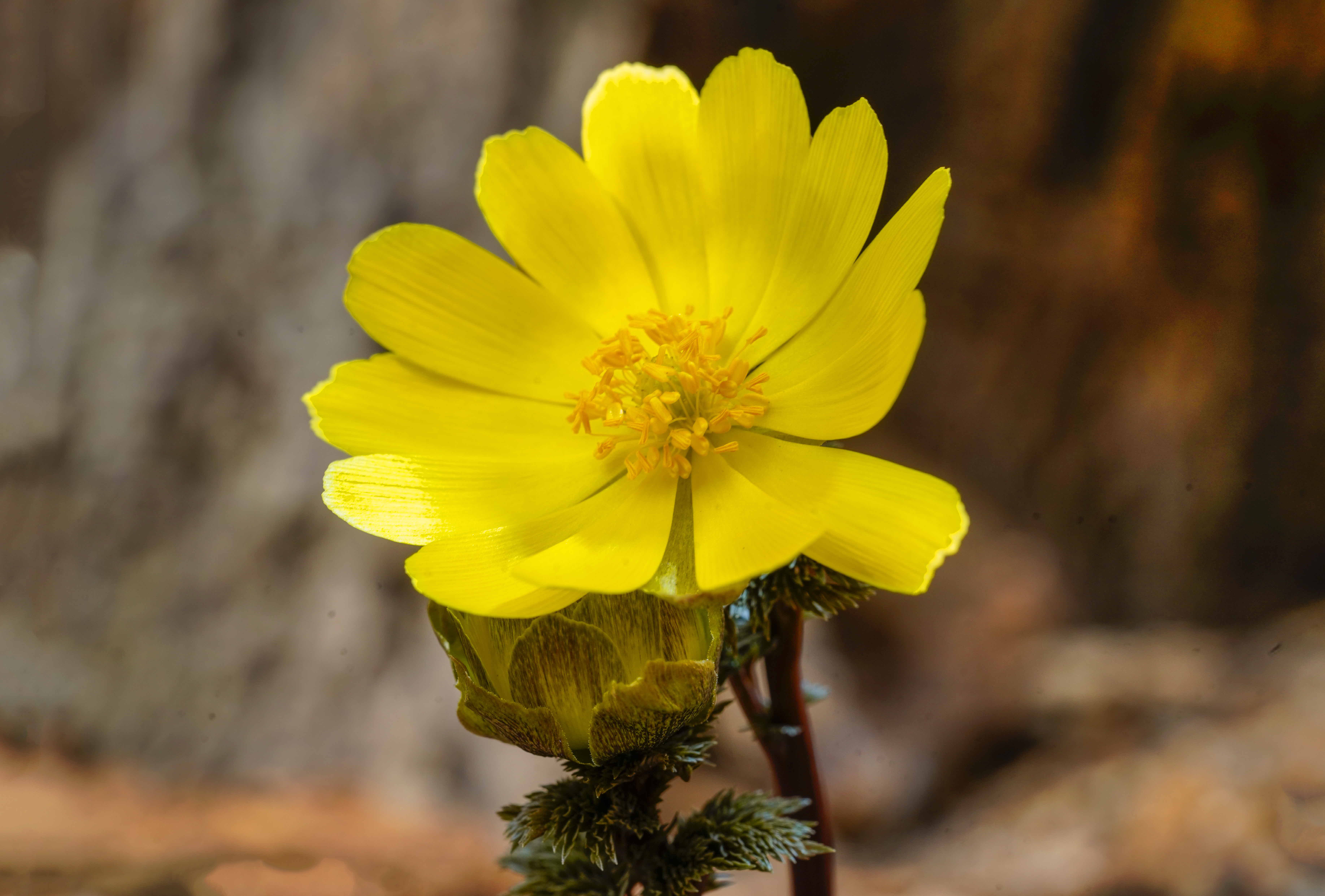 크기변환__DSC2883 사본.jpg