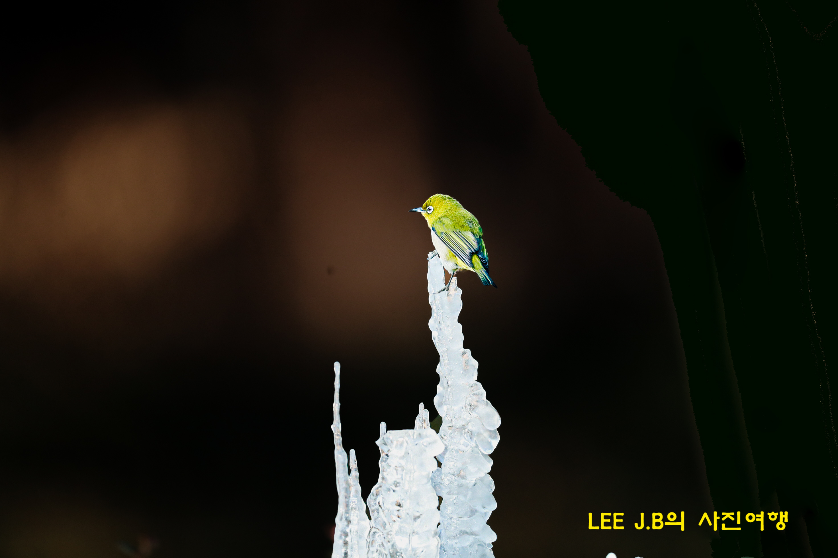 20220119-문수구장 (15).JPG