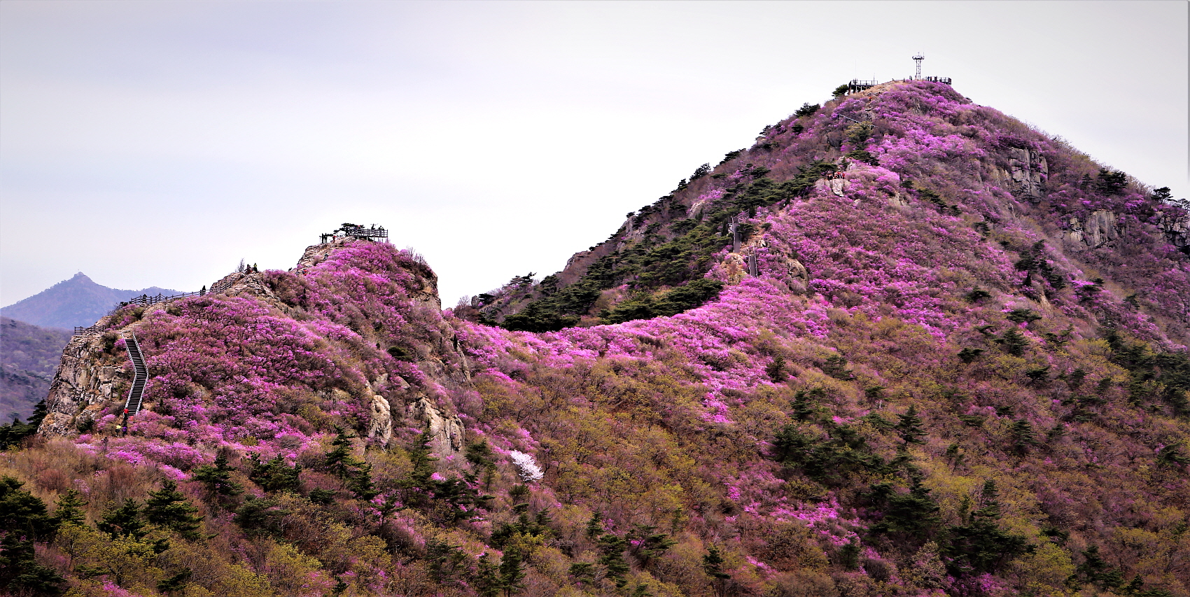 영취산사본 -_MG_8093 (2).jpg