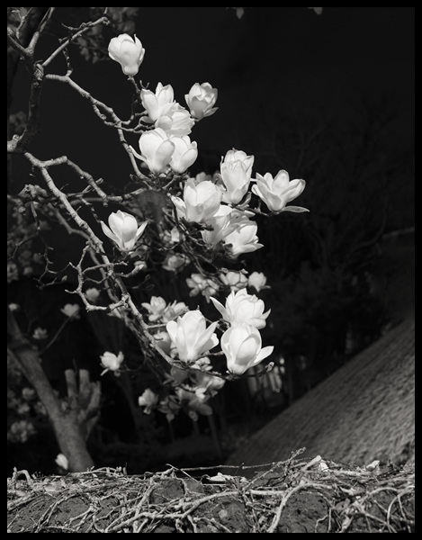 0DS_9851 복사04.jpg