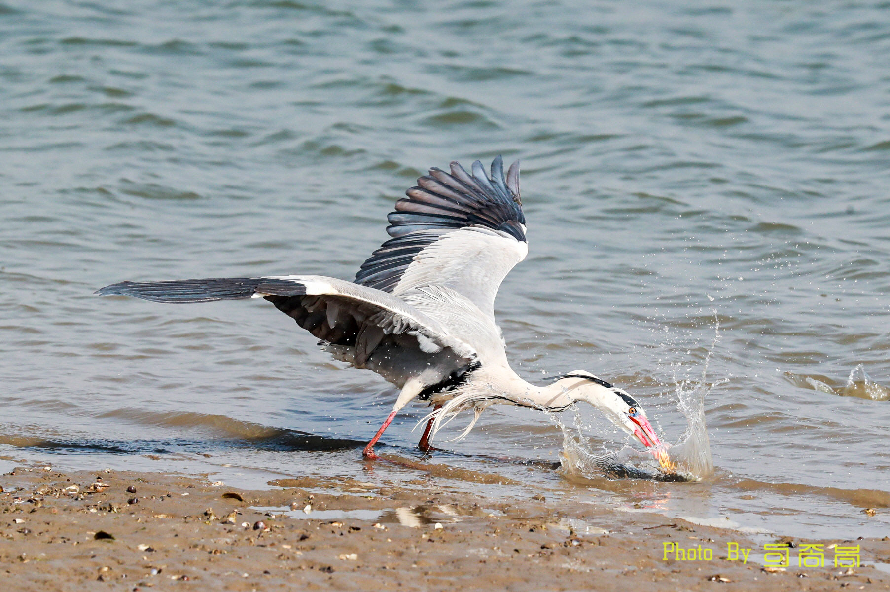 20220315-명지 (86).JPG