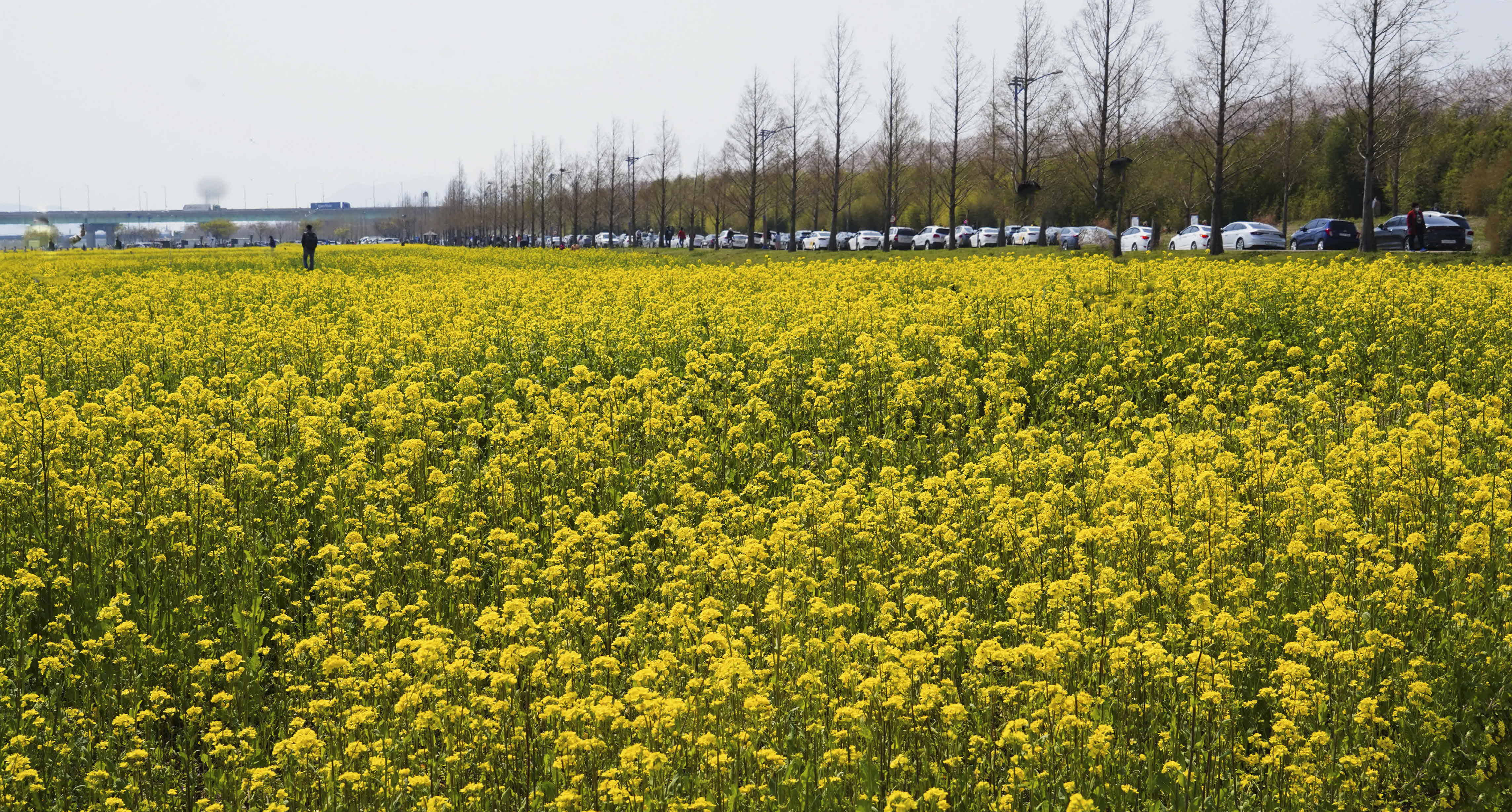 크기변환_크기변환_DSC07980 사본.jpg