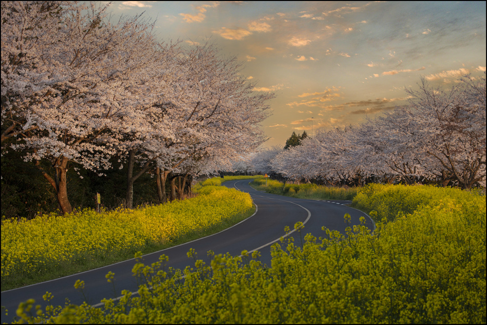 0Z8A0436 복사0566.jpg