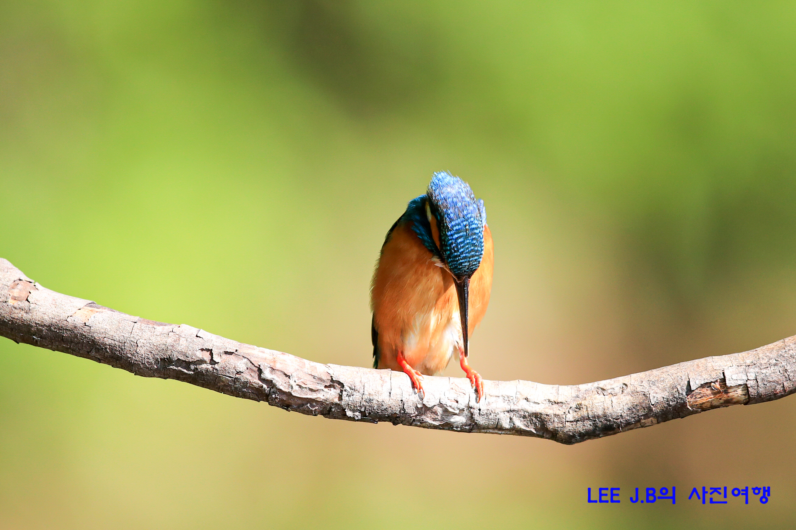 20220506-범서 (12).JPG