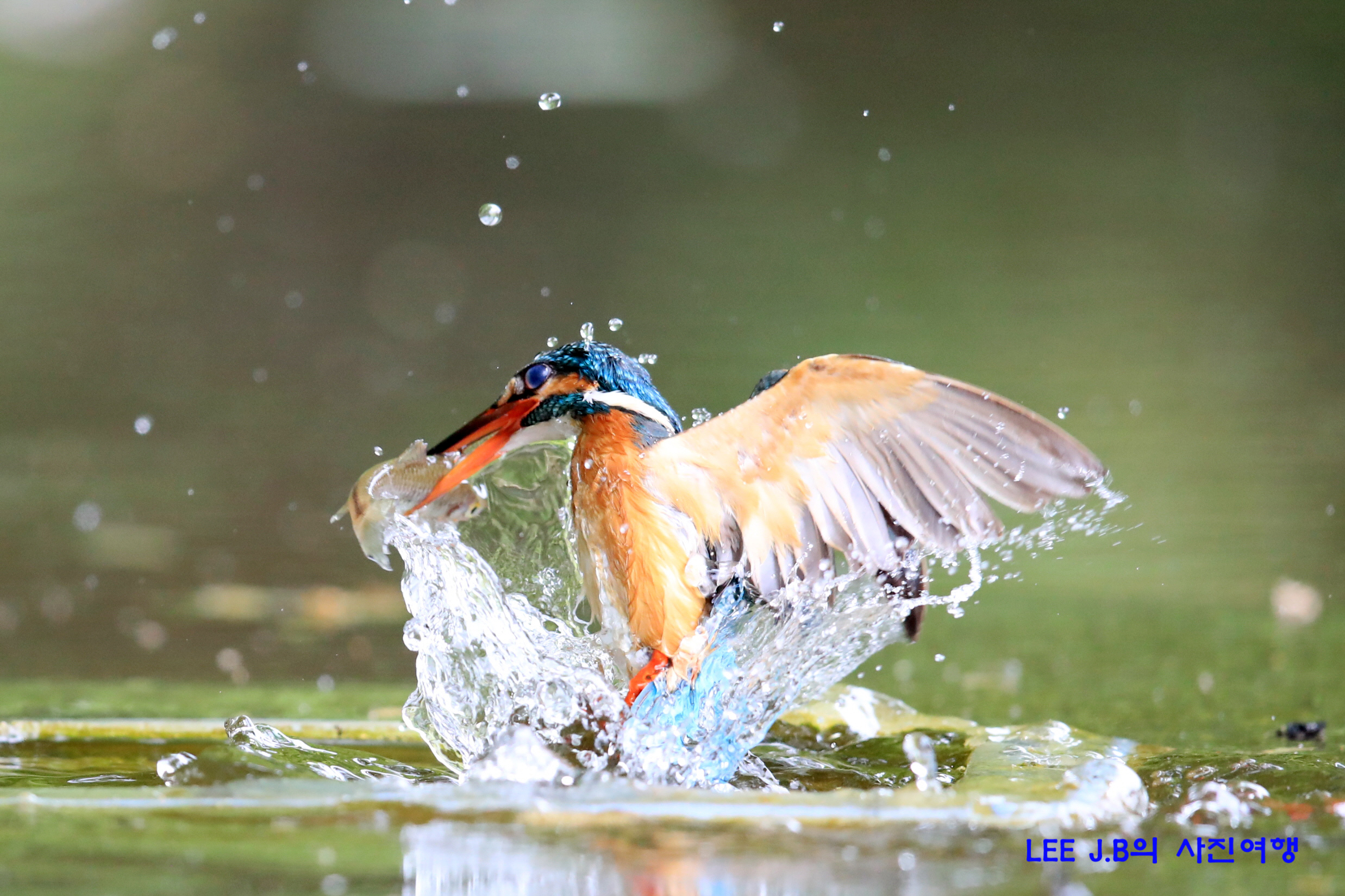 20220512-범서 (33).JPG