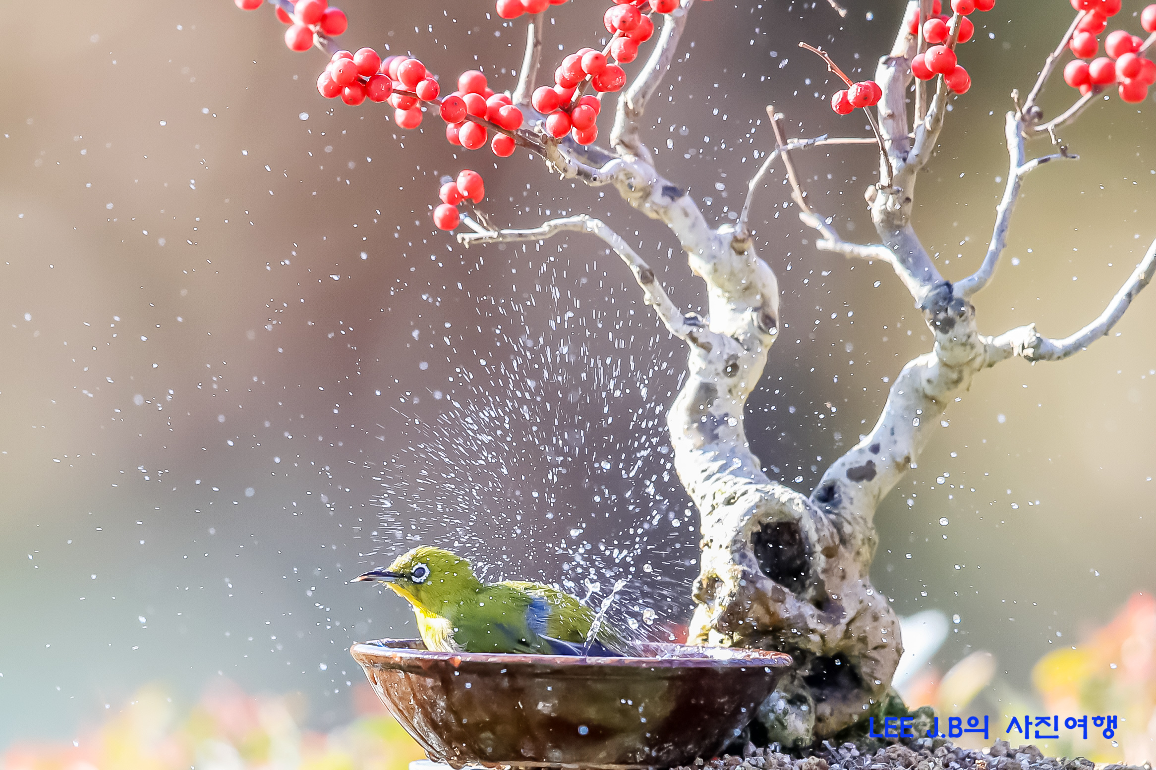 20221218-문수구장 (5).JPG