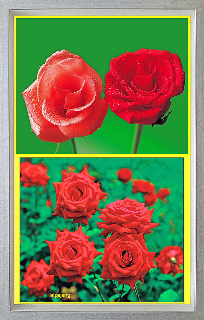 20170515_  복사 복사 (1) 복사 복사 (1) 복사 (1).jpg