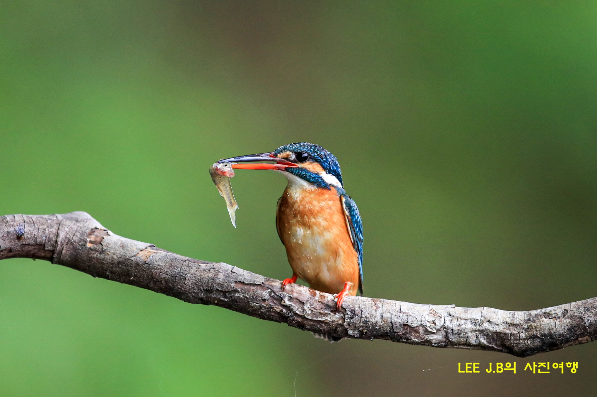 20220512-범서 (11).JPG