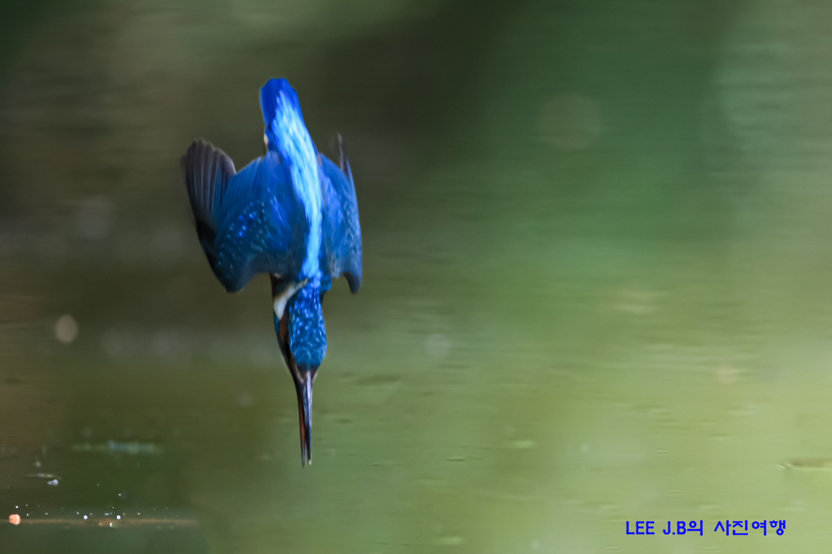 20220529-범서 (26).JPG