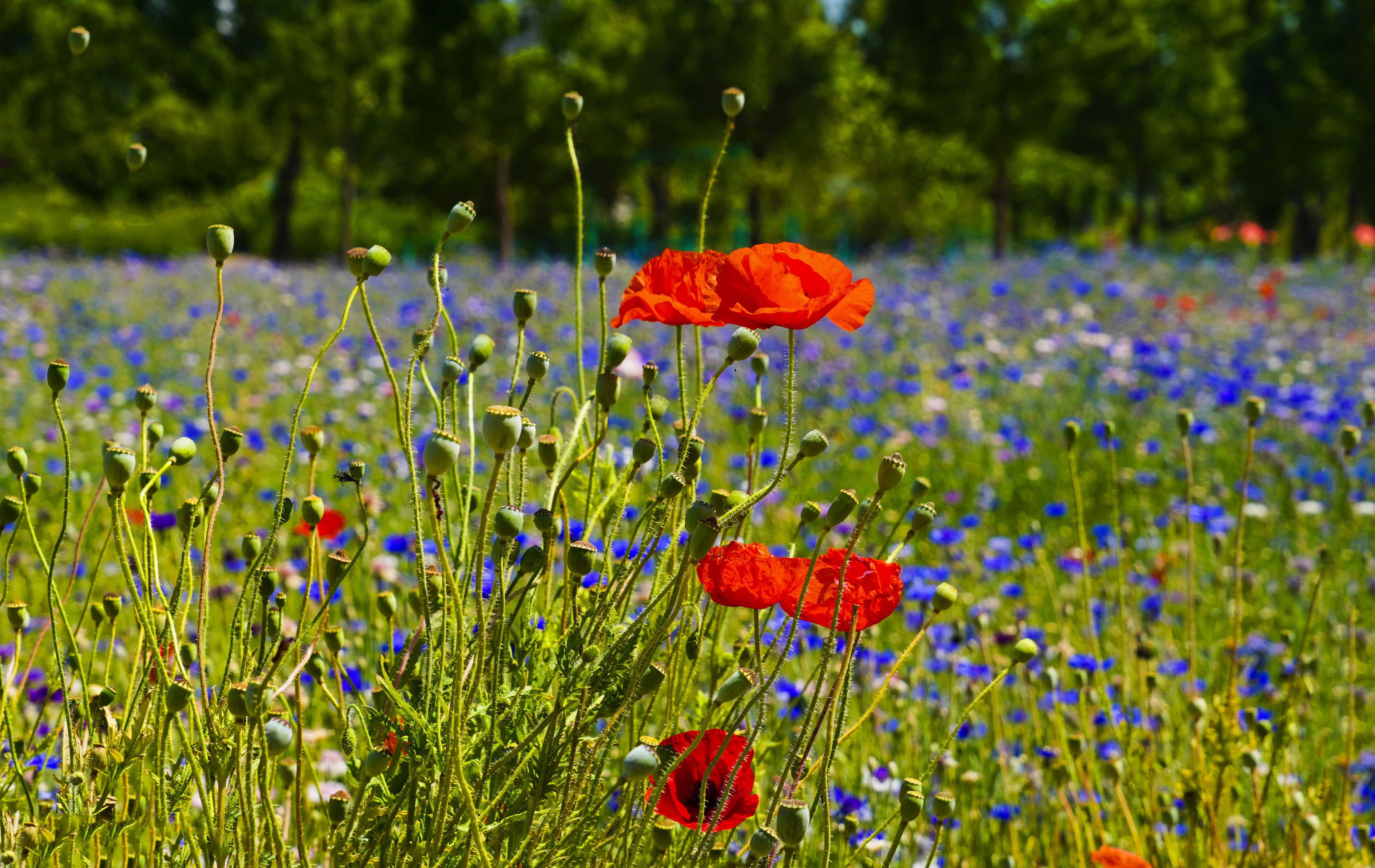 크기변환_DSC09641 사본.jpg