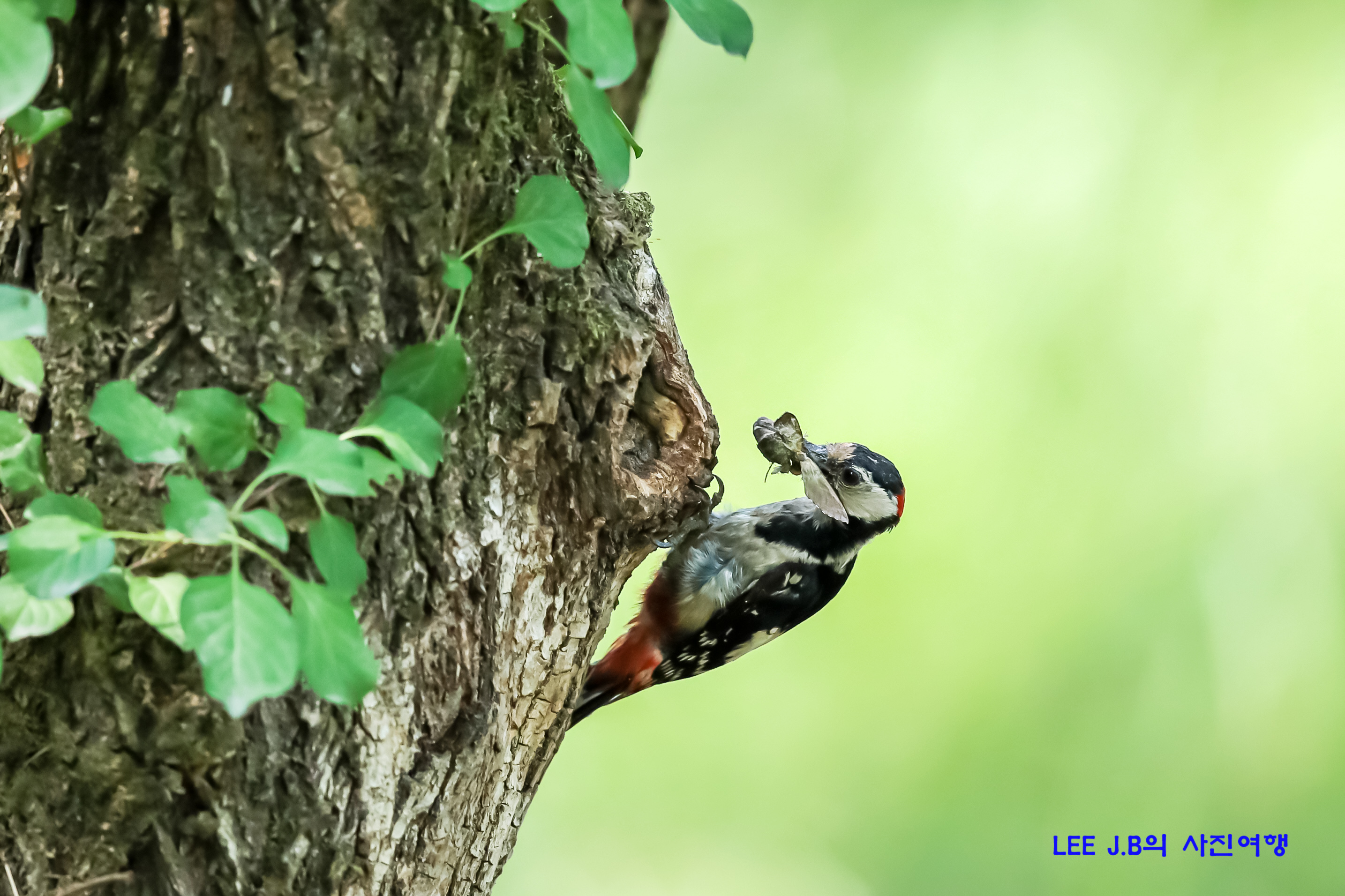 20220617-목포제방 (24).JPG