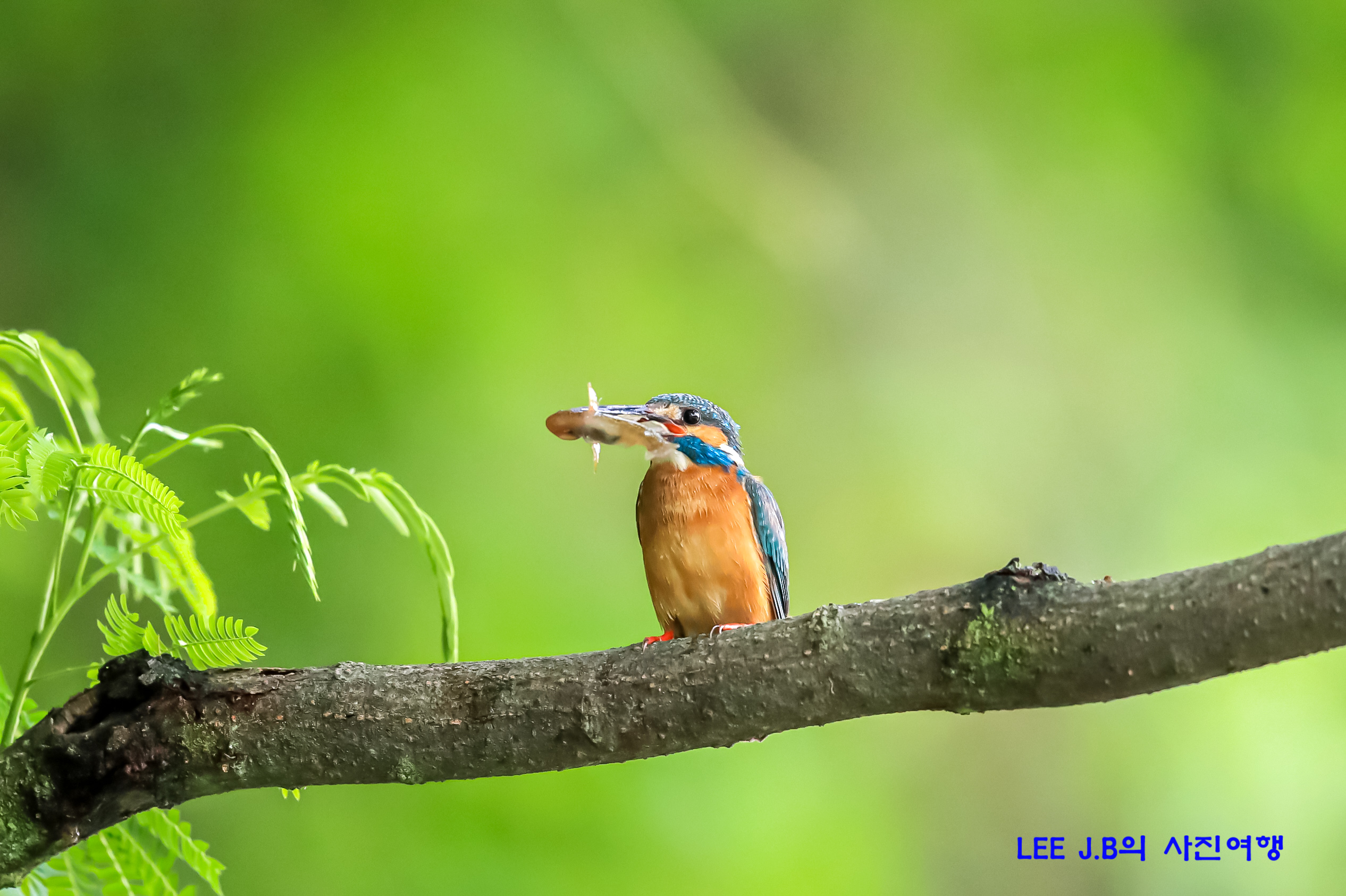 20220615-범서 (7).JPG