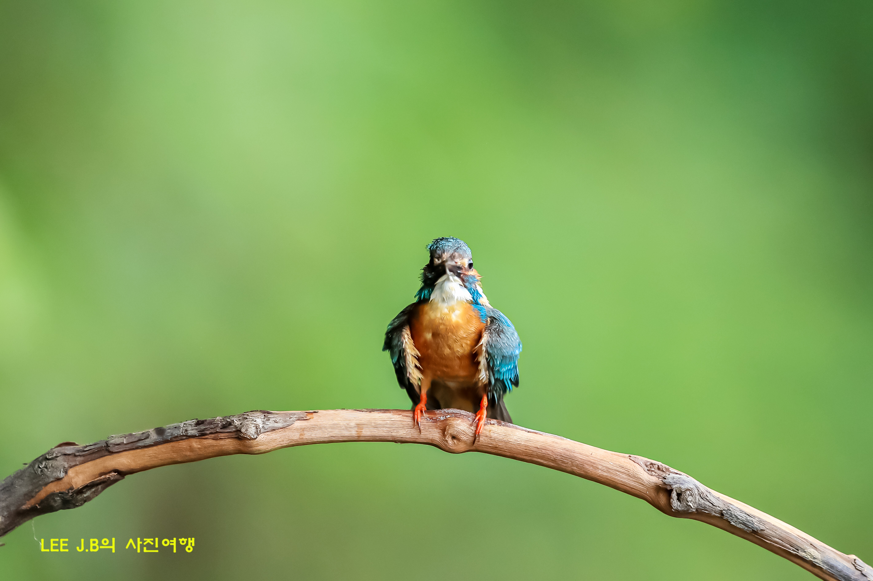 20220620-범서 (26).JPG