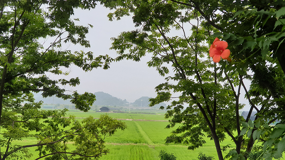 20220711_080012 -1000.jpg