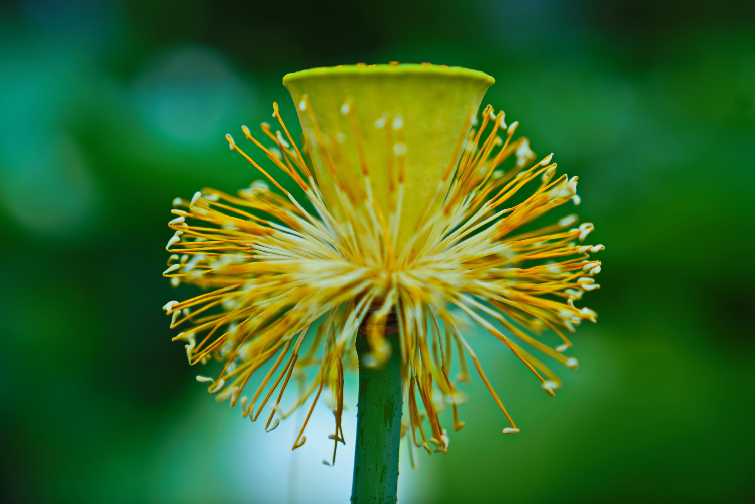 화려한 날이 지나고.jpg