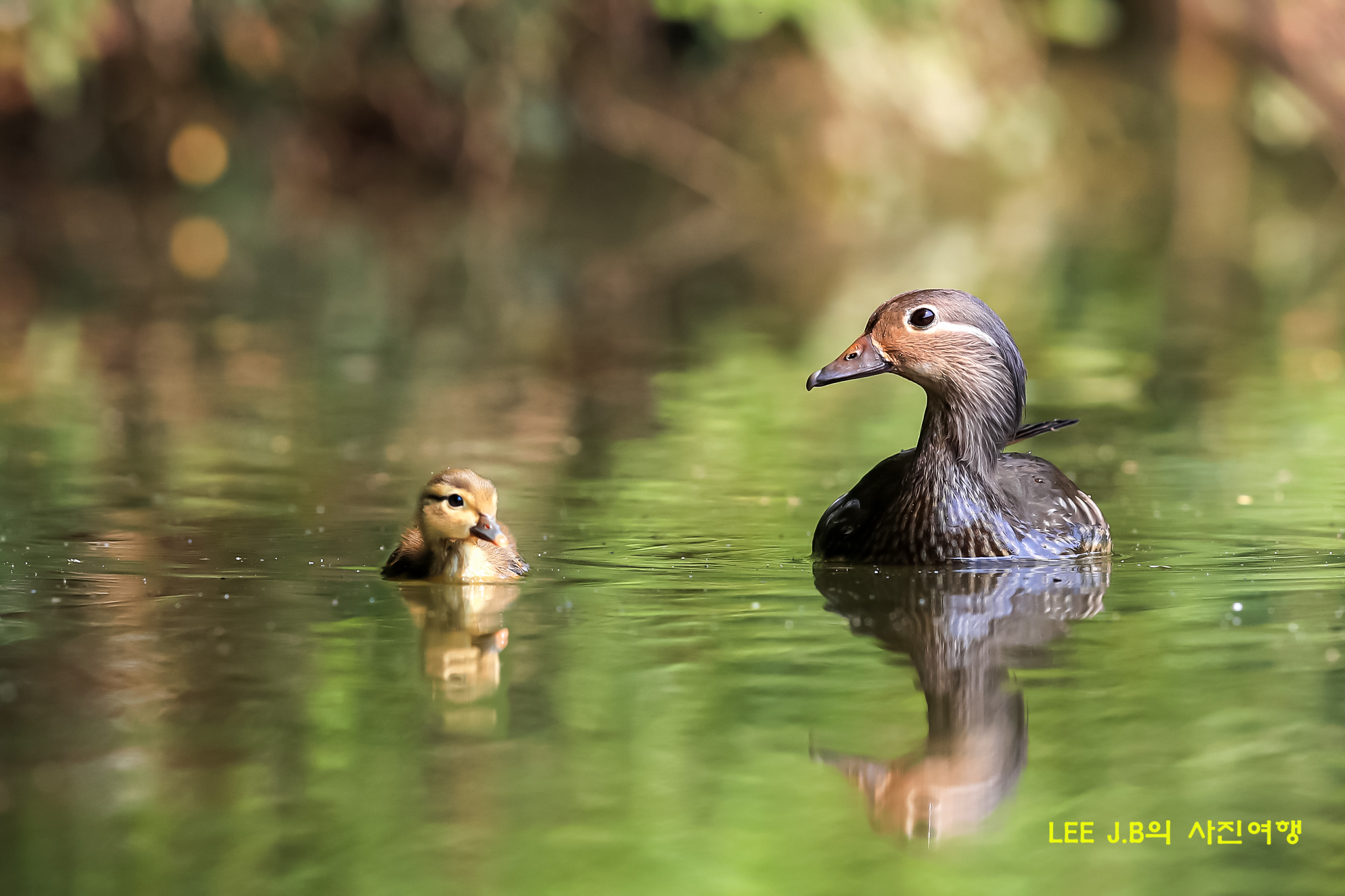 20220620-범서 (72).jpg