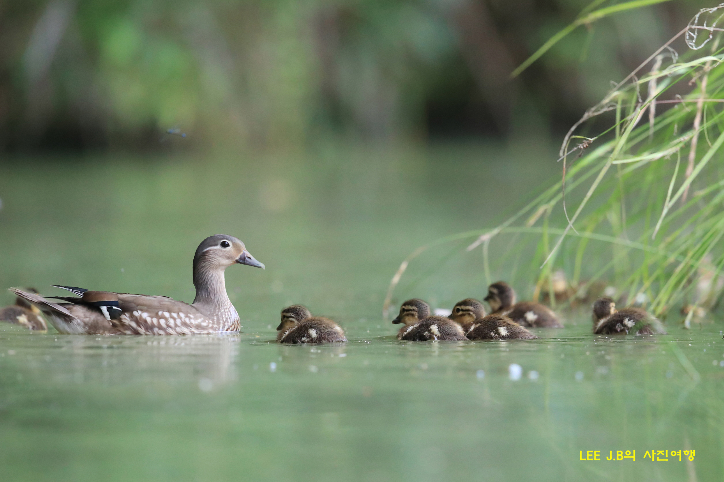 20220620-범서 (122).JPG